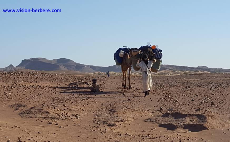 La Vallée du Drâa : Dunes, Oasis & Kasbahs