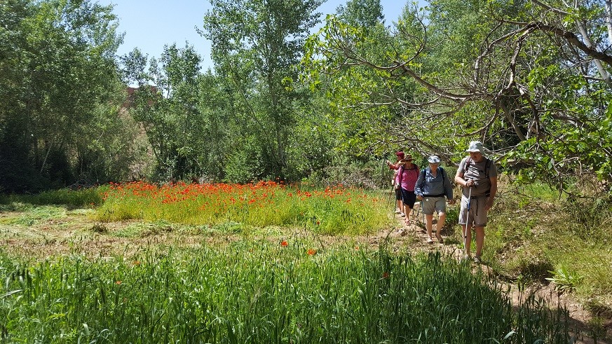 Les jardins et les khasbahs de la vallée des roses