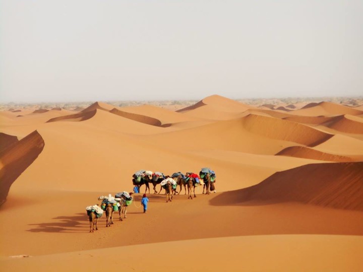 Les étoiles filantes Merzouga