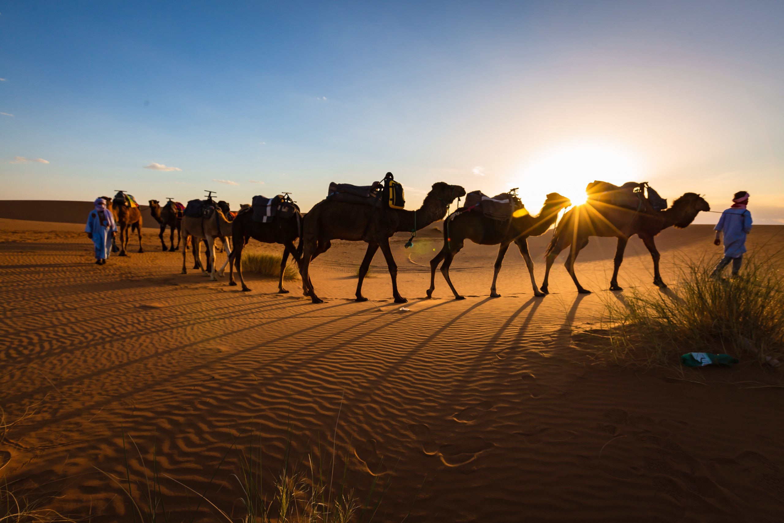 Marrakech Desert Excursion