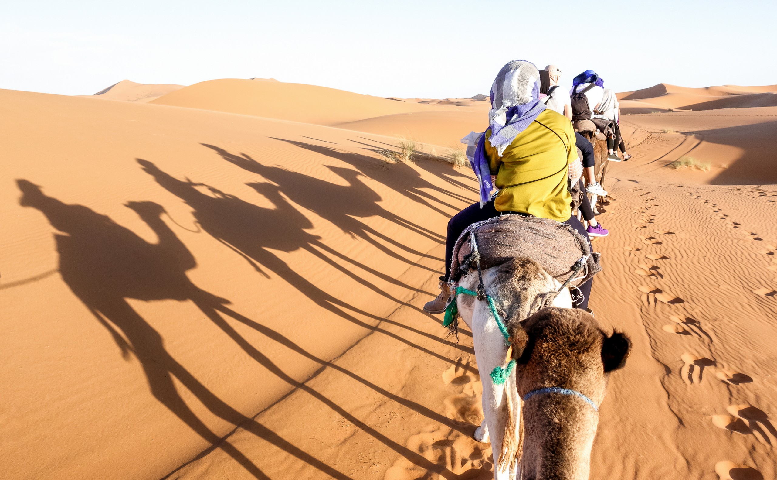 Excursion Marrakech